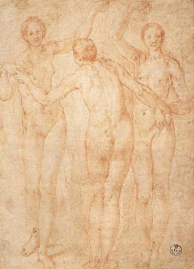 Jacopo Pontormo Three Graces oil painting picture